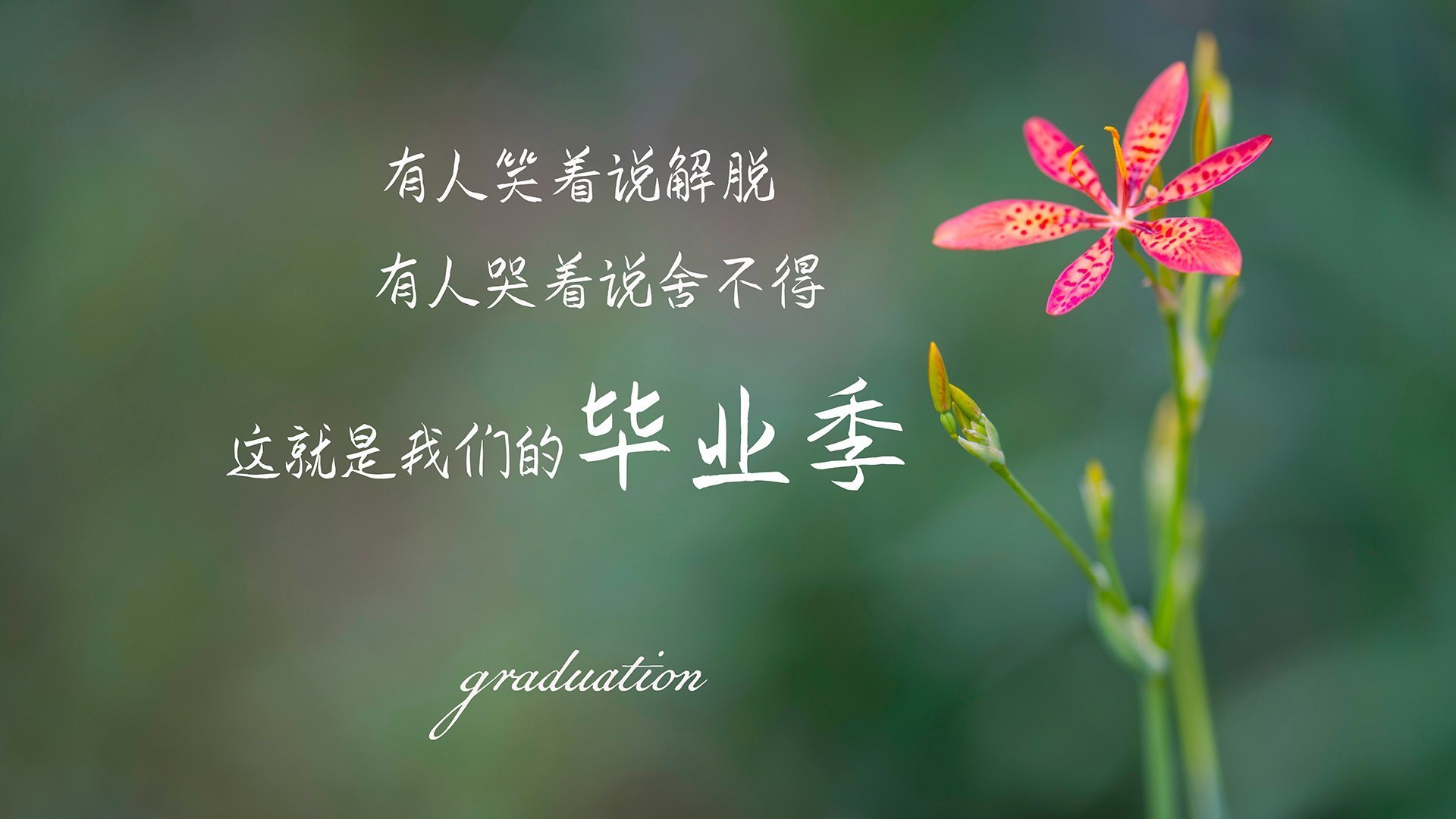 中国足球历史上的经典战役盘点，中国足球 历史