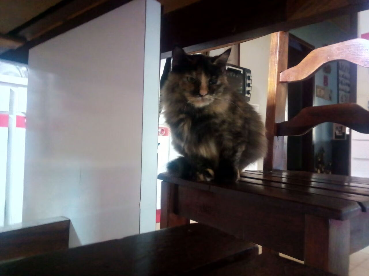 拳击新星崭露头角,热血对抗不断升级,拳击新人