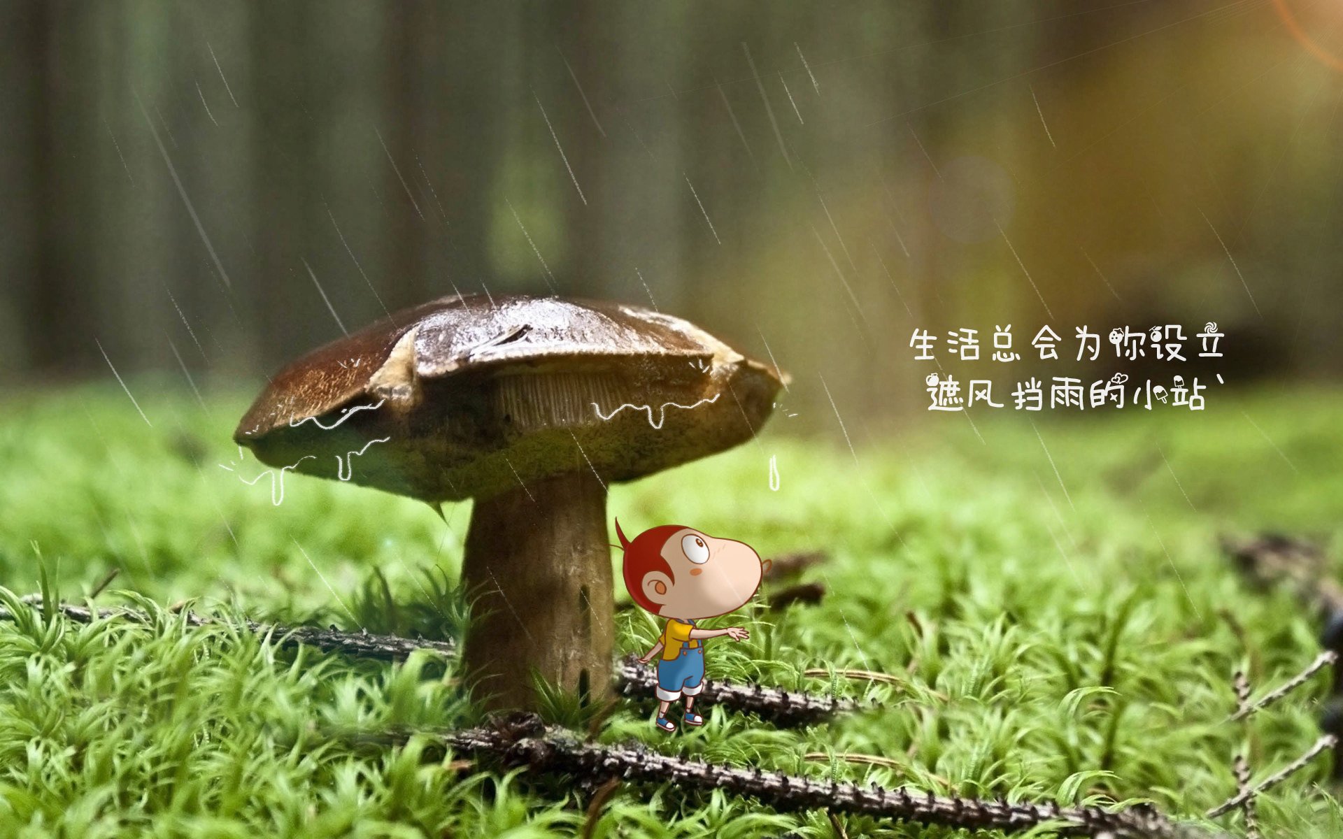 KPL数据分析：不同位置选手的经济转化率与输出效率，kpl经济分配
