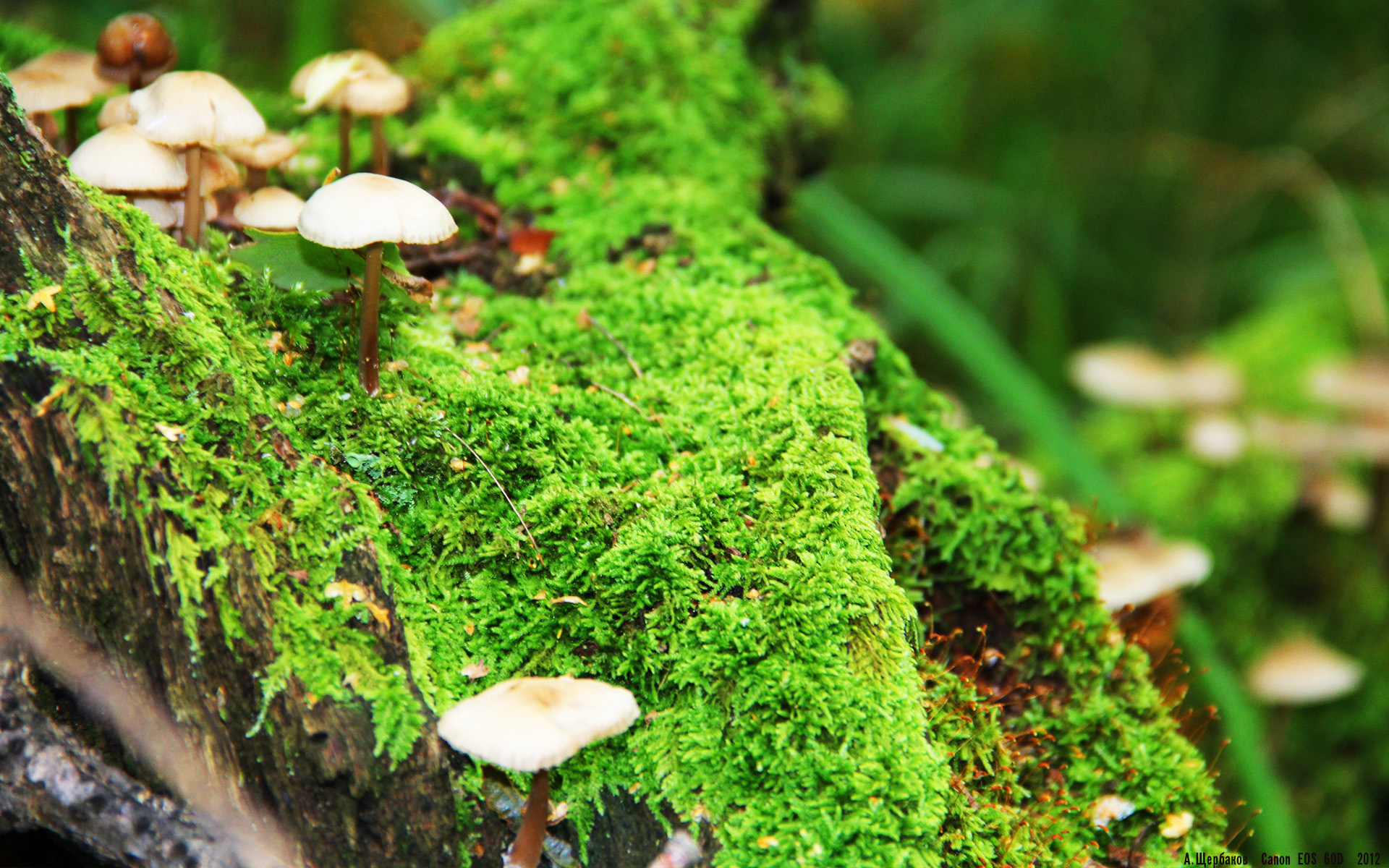 开云官网APP下载-女子网坛再掀青春风暴，18岁新星斩获首冠，女子网坛历史地位排名