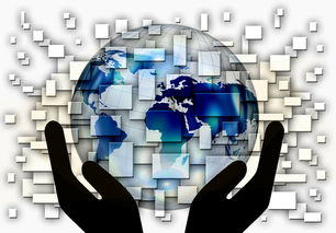 开云体育官网下载安装-全国电子竞技公开赛上海收官，全国电子竞技大赛官网2020