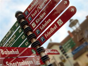 开云体育视频直播-高校运动队选拔机制公平性研究，高校运动队选拔机制公平性研究报告